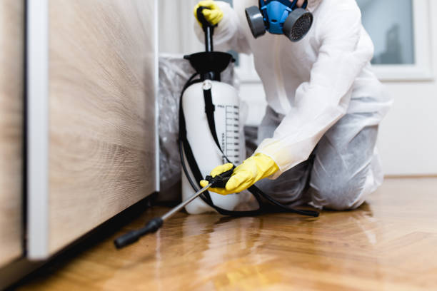 Best Rat Extermination Near Me  in Beverly, MA