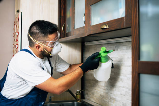 Best Best Pest Control Companies  in Beverly, MA