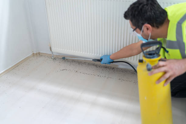 Best Affordable Pest Control Services  in Beverly, MA