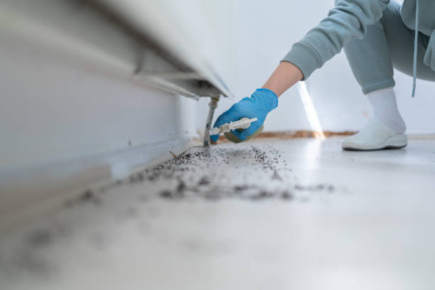Professional Pest Control in Beverly, MA